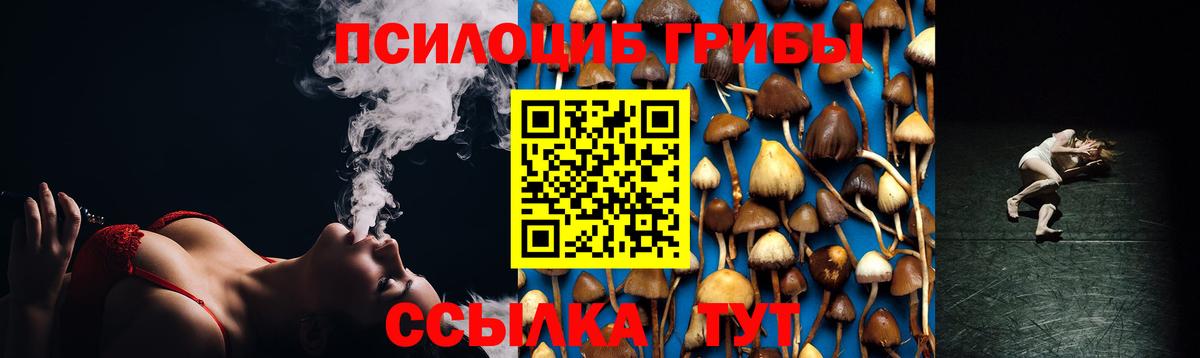 Нововоронеж  Галлюциногенные грибы GOLDEN TEACHER  Псилоцибиновые грибы прущие грибы  купить наркотики сайты  Вход с VPN 